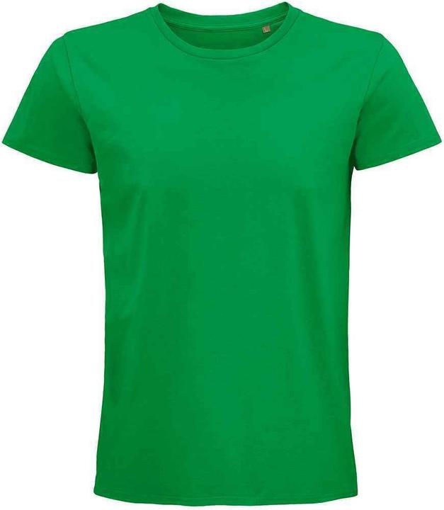 Verde Kelly