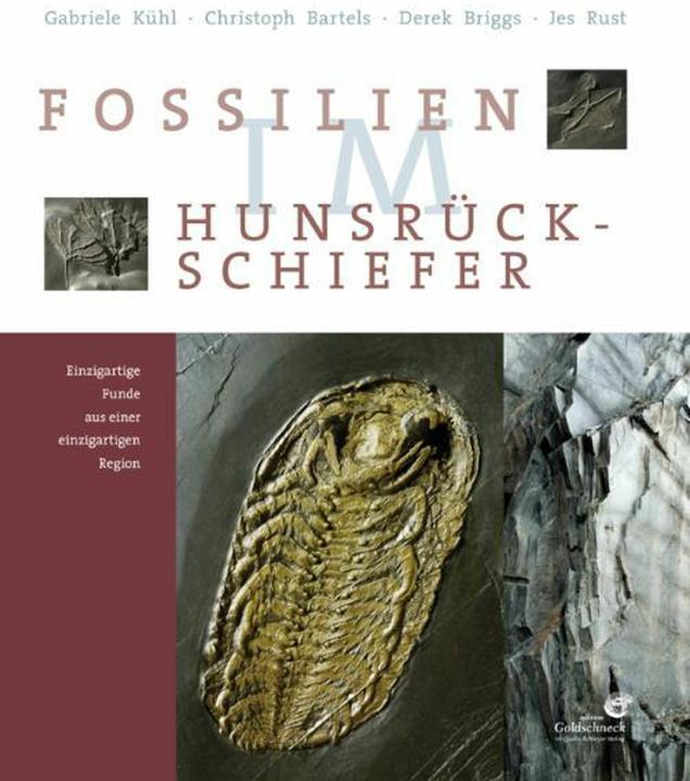 Produktbild Fossilien im Hunsrück Schiefer (Deutsch, Christoph Bartels, Derek Briggs, Gabriele Kühl, Jes Rust, 2011)