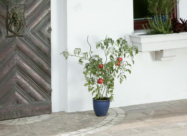 Produktbild Windhager Tomaten Spiralstab (100 cm, 0.60 cm)