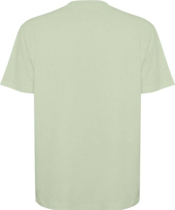 Verde nebbia
