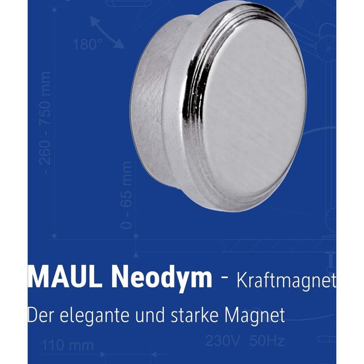 Produktbild Maul NeodymKraftmagnet (1x)