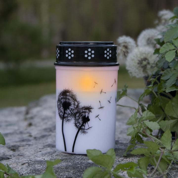 Produktbild Star Trading LED Grablicht Dandelion (1x)