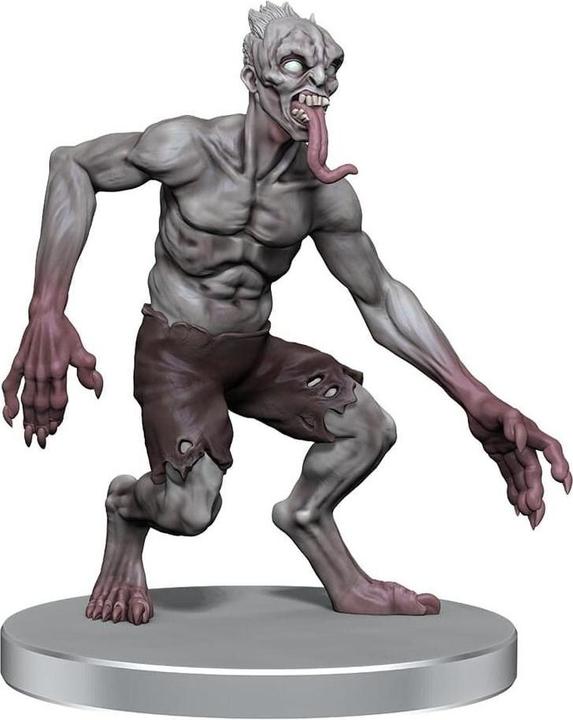 Actual product image Wizkids D&D Classic Collection miniatures prépeintes Monsters G-J Boxed Set