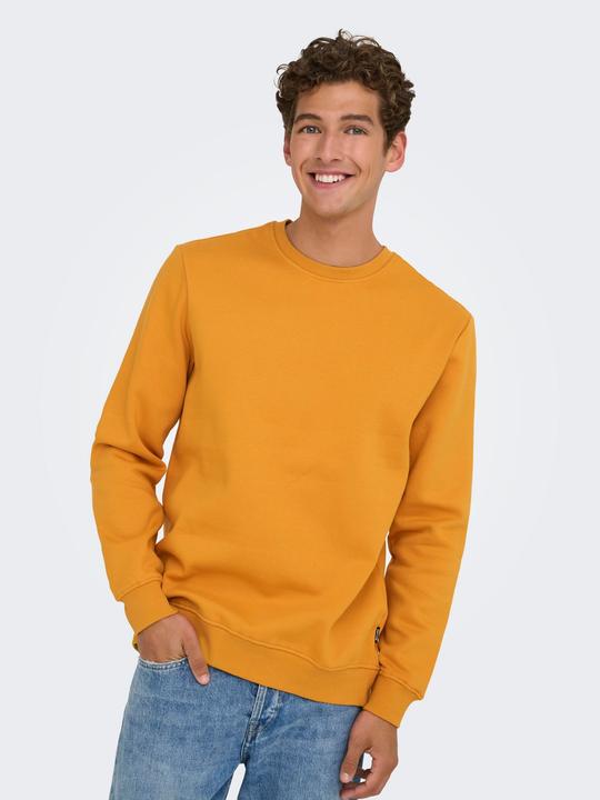 Produktbild Only & Sons Onsconnor Reg Crew Neck Sweat Noos (L)
