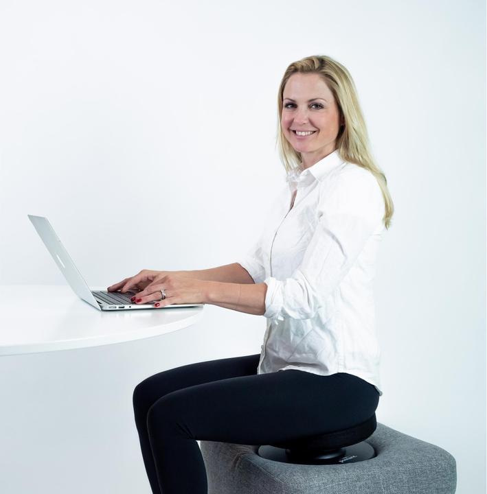 Image du produit Swedish Posture Posture Balance Core