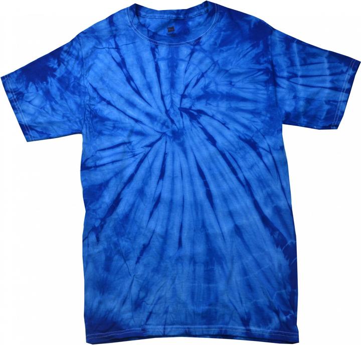 Ragno blu reale