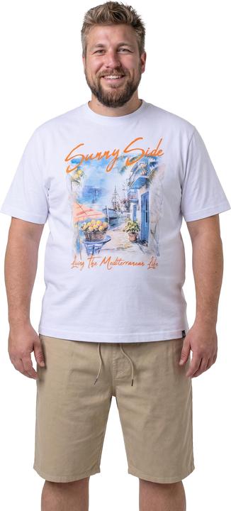 Produktbild Men+ T-Shirt, Print, Halbarm (L)