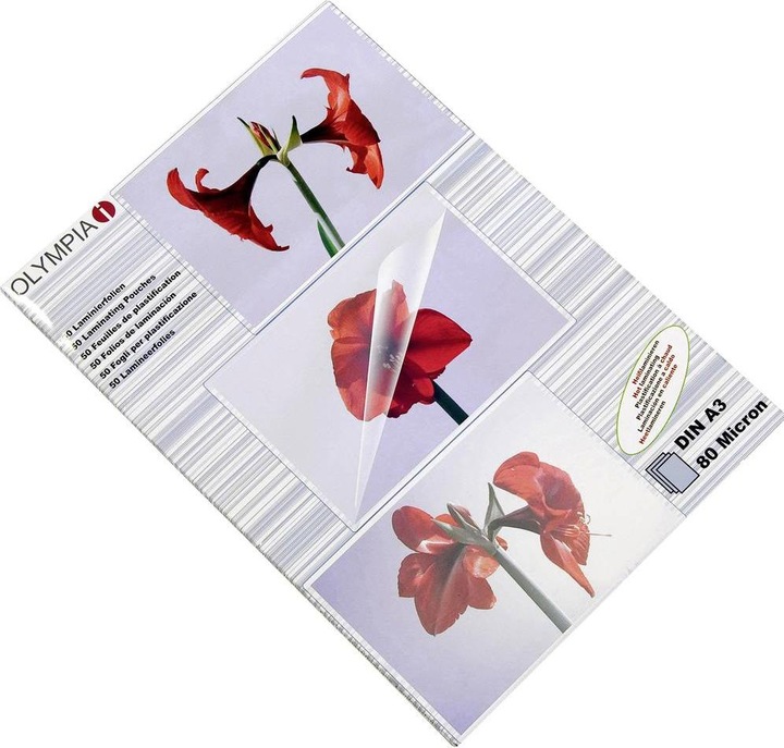 Actual product image Olympia 9174 (A3, 50 Piece, 80 µm)