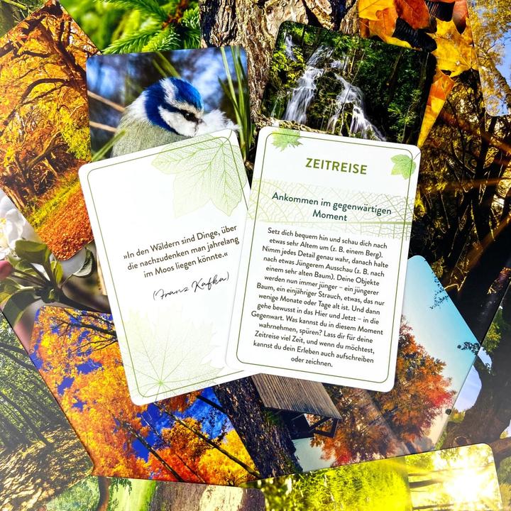 Produktbild Waldbaden to go (Deutsch, Annette Bernjus, 2021)