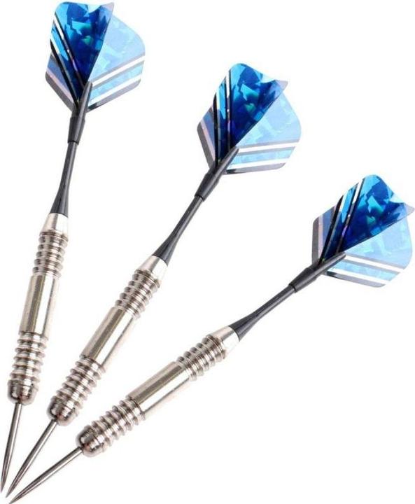 Image du produit Masterdarts Jeu de fléchettes avec étui (23 g)