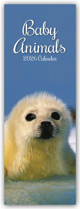 Produktbild Gifted Stationery Co. Ltd:Baby Animals