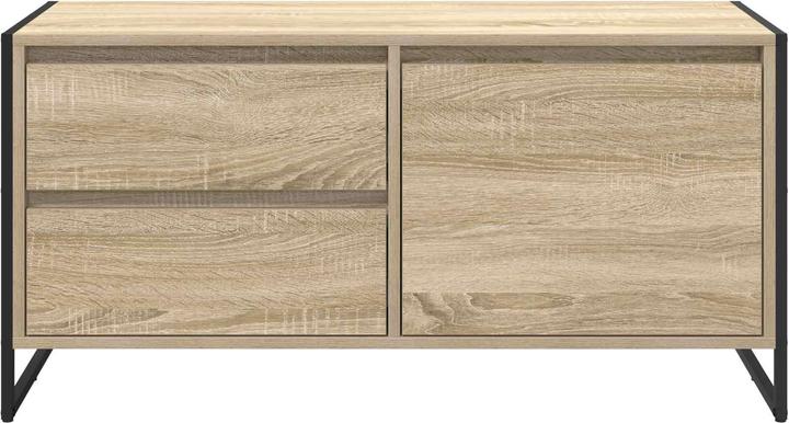 Actual product image vidaXL TV-Schränk (36 x 100 x 49.50 cm)