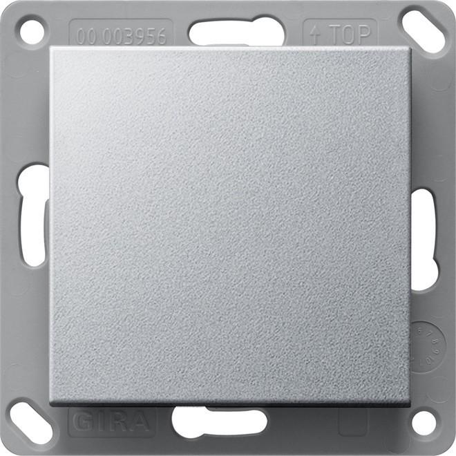 Actual product image Gira 246126