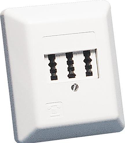 Produktbild Rutenbeck TAE 2x6/6 NFF Ap rw - Wanddose - TAE-NFF