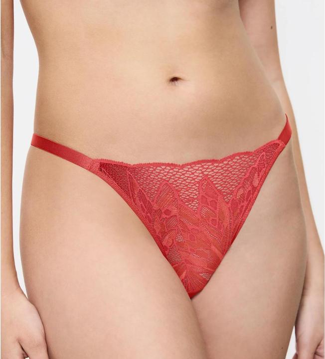 Immagine prodotto Triumph String Red Label Crazy Stupid Love (40, Confezione singola)