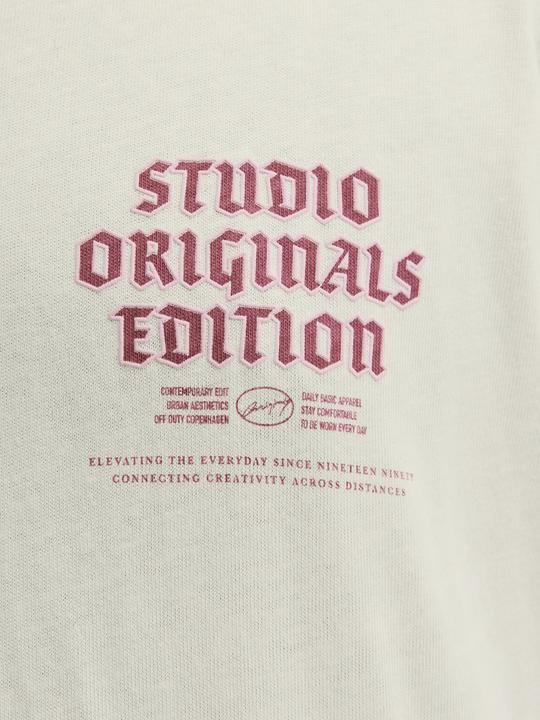 Immagine prodotto Jack & Jones Plus Size T-shirt T-shirt (6XL)