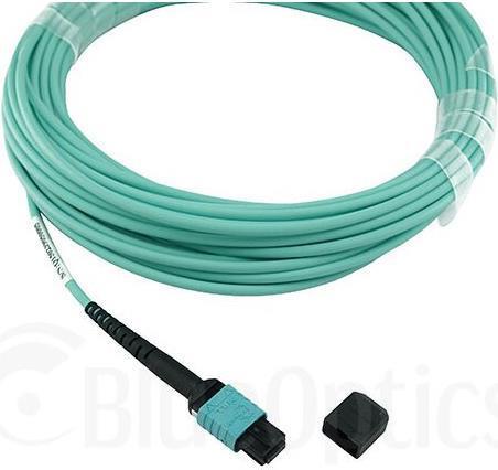 Actual product image BlueOptics NetApp X66200-1 compatible MPO-MPO multimode OM3 patch cable 1 metre (1 m)
