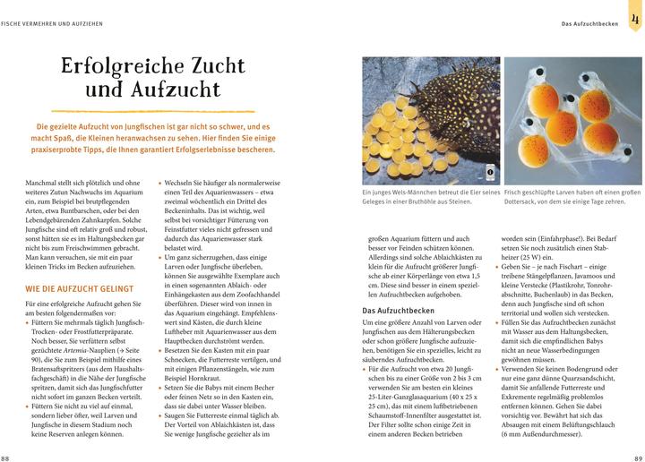 Actual product image Mein Aquarium (German, Ulrich Schliewen, 2016)