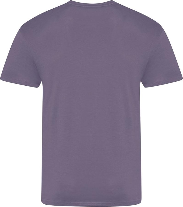 Actual product image Awdis The 100 Tshirt (S)