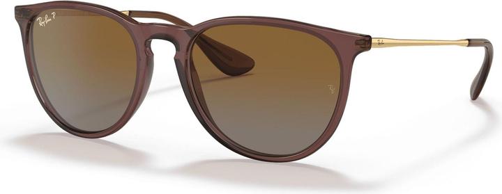 Brown gradient polarised, Dark brown Transparent