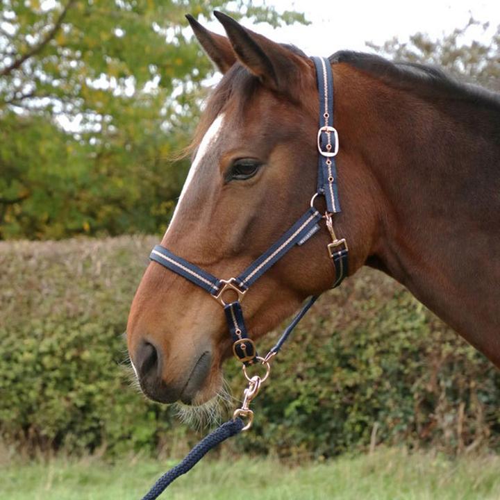 Produktbild Hy Pferdehalfter Und Führstrick Set Glitzer