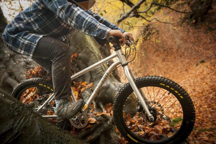 Immagine prodotto Early Rider Sentiero Belter 3 (20")