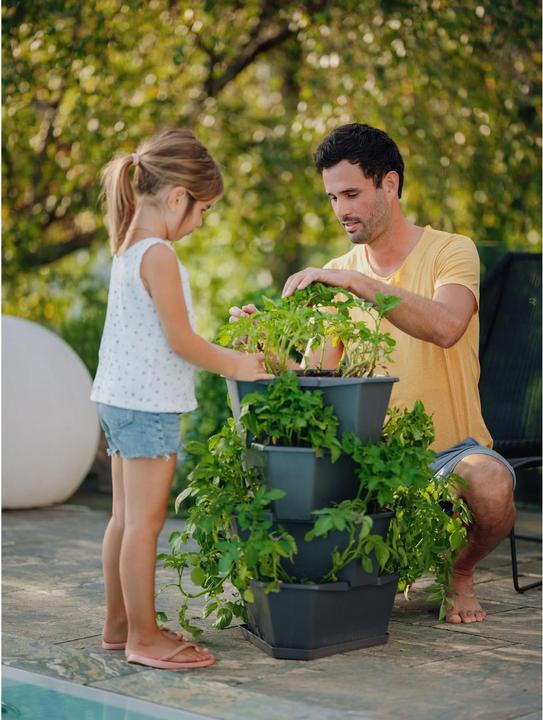 Actual product image Gusta Garden Paul Potato (38.80 cm)