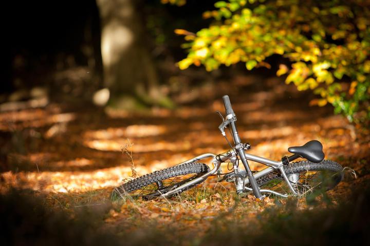 Immagine prodotto Early Rider Sentiero Belter 3 (20")