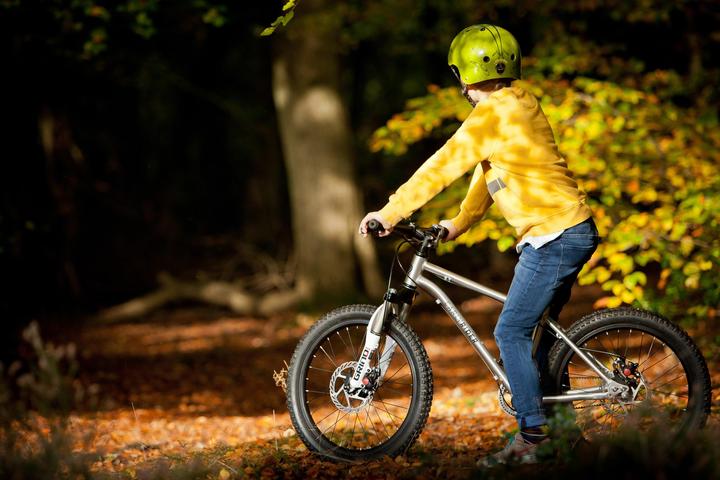 Immagine prodotto Early Rider Sentiero Belter 3 (20")