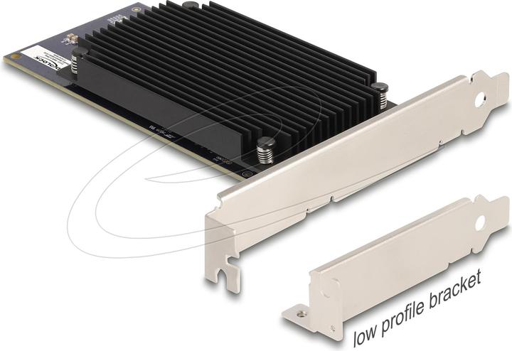 Immagine prodotto Delock Processore AI PCI Express x8 Hailo-8 x2 accelerazione AI