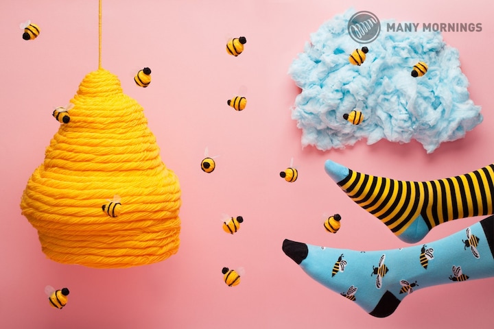 Actual product image Many Mornings Bee Bee (Single pack, 39 - 42)