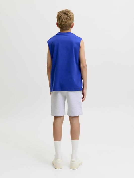 Image du produit Jack & Jones Junior Hose GORDON Shorts (176)