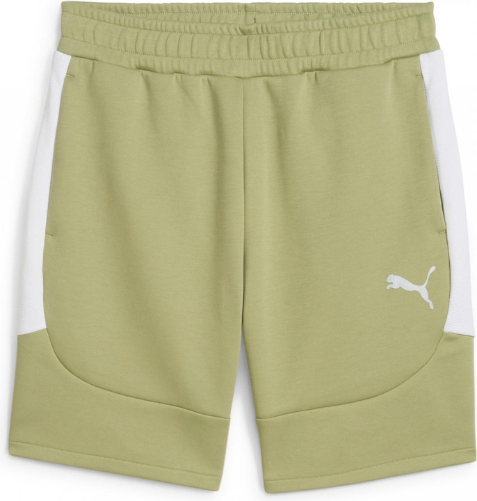 Actual product image Puma teamEVOSTRIPE Shorts (S)
