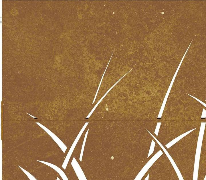 Produktbild vidaXL Gartentor