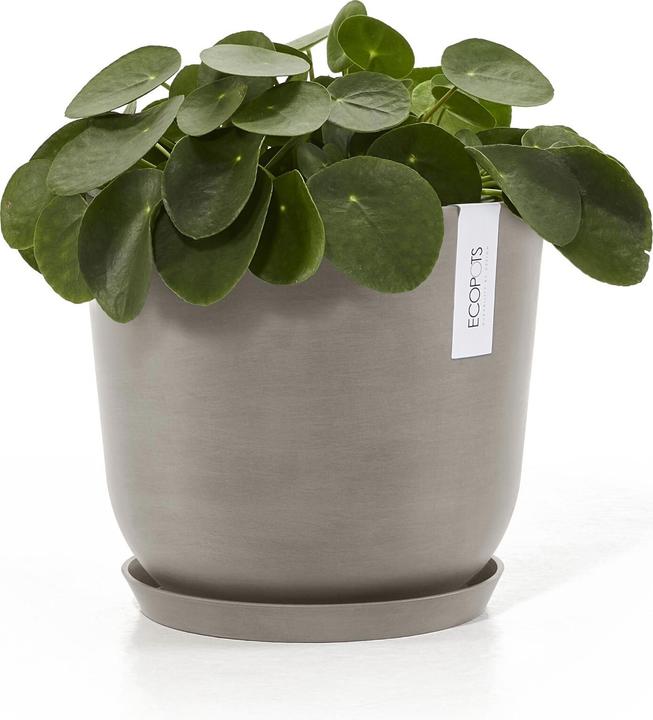 Produktbild Ecopots Saucer Rund 21