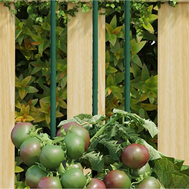Immagine prodotto vidaXL Pflanzenstütze (150 cm, 150 cm)