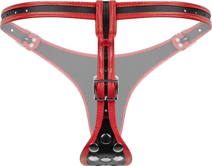 Immagine prodotto Fetish Collection Easytoys - Triple Dildo Strap-On Harness