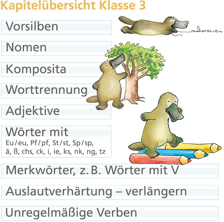 Produktbild Rechtschreiben mit Rico Schnabel, Klasse 3 (Deutsch, Mareike Hahn, Stefanie Drecktrah, 2023)