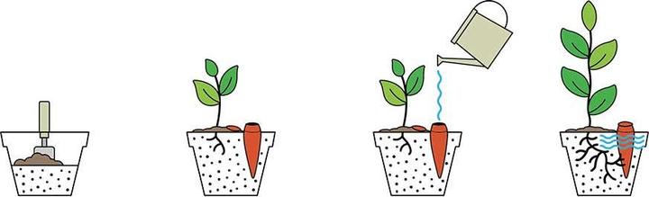 Immagine prodotto WePot Olla S Irrigazione