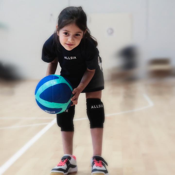 Actual product image Allsix vts100 309567