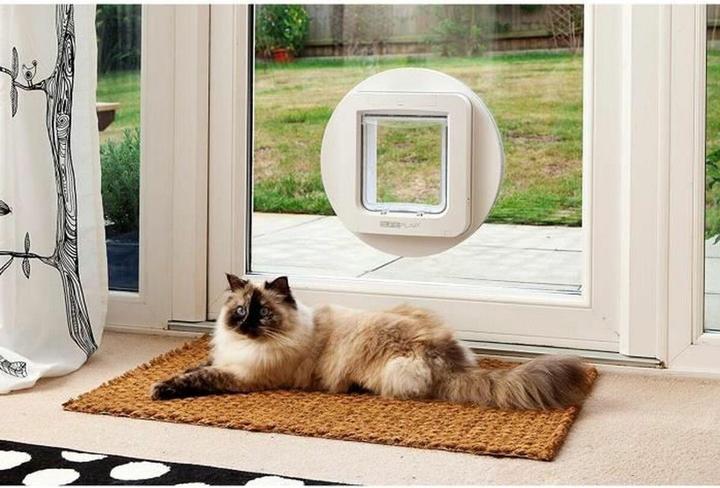Actual product image SureFlap XXL cat door (Microchip Cat Flap)