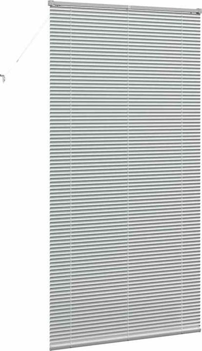 Immagine prodotto VidaXL Tende per finestre (110 x 220 cm)