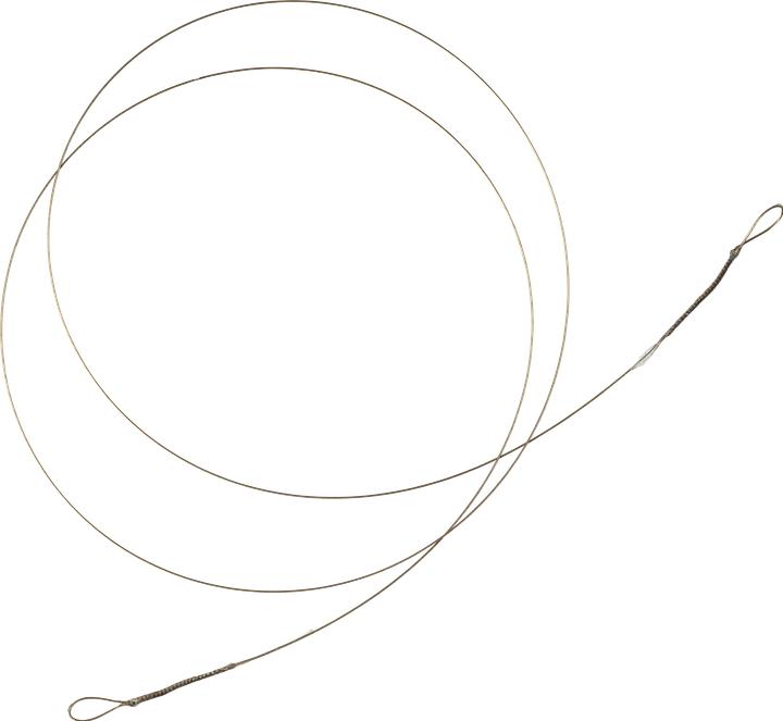 Immagine prodotto Caperlan Leader acciaio predator 2 occhielli 70 cm