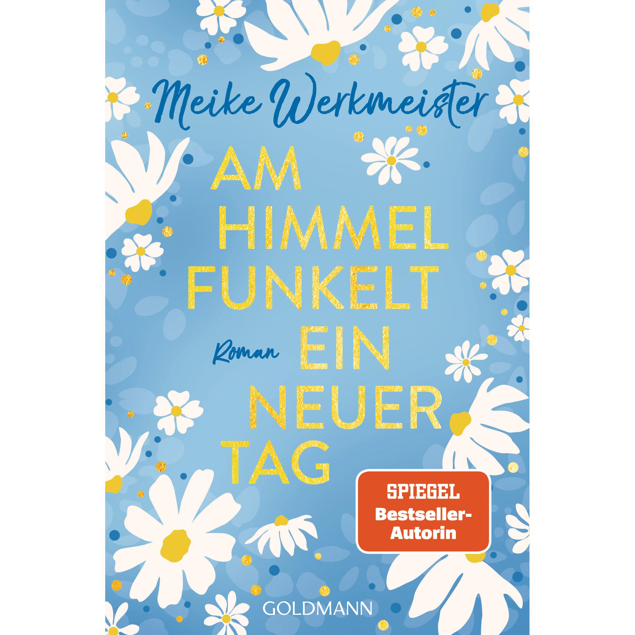 Am Himmel funkelt ein neuer Tag, Belletristik von Meike Werkmeister