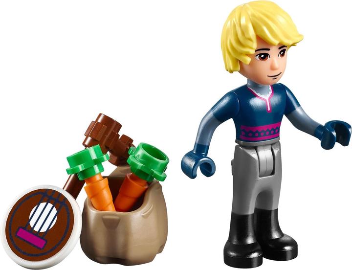 LEGO Anna Kristoff's Sleigh Adventure buy at Galaxus