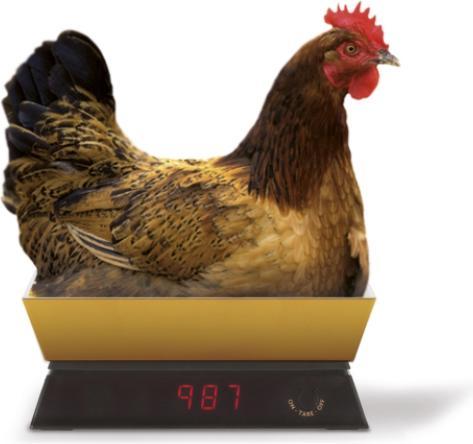 Immagine prodotto ViceVersa Bilancia da cucina 5kg oro 12982