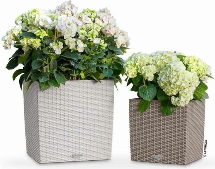 Produktbild Lechuza Blumentopf Cube Cottage 50 (50 x 50 x 49.50 cm)