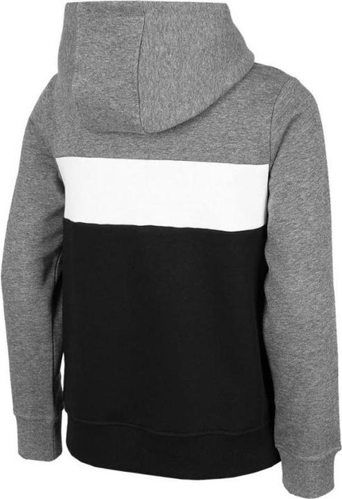Produktbild 4F HJZ22 JBLM003 46S Kapuzenpullover (134)