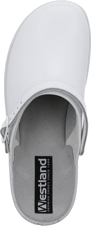 Actual product image Westland 31311-95 (39)