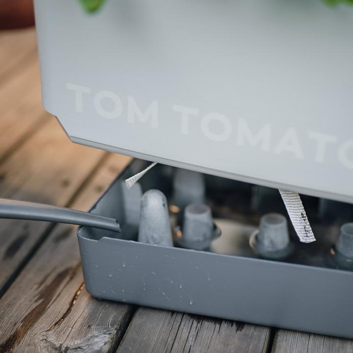 Actual product image Gusta Garden Tom Tomato (35 cm)
